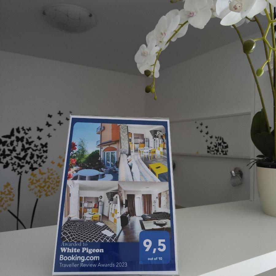 White Pigeon Apartment Сплит Екстериор снимка